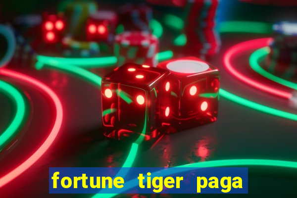 fortune tiger paga de madrugada